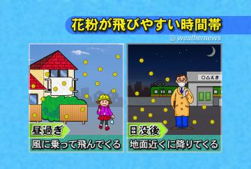 花粉が飛びやすい時間帯