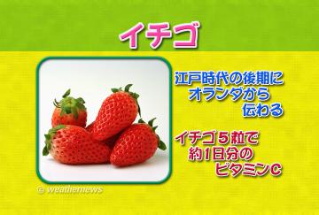 イチゴ