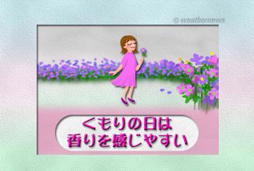 くもりの日は香りを感じやすい