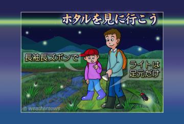 ホタルを見に行こう
