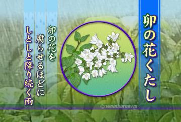 卯の花くたし