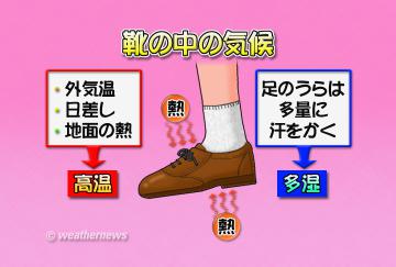 靴の中の気候
