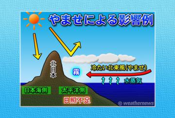やませによる影響例