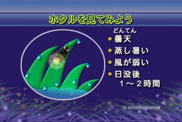 ホタルを見てみよう