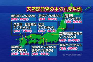 天然記念物のホタルの発生地