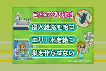 ゴキブリ対策