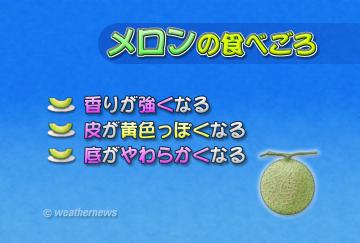 メロンの食べごろ