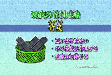 現代の竹利用法