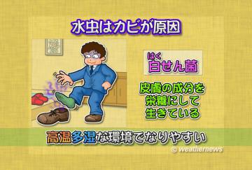 水虫はカビが原因