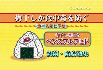 梅干しが食中毒を防ぐ・1