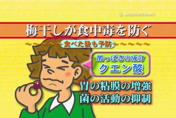 梅干しが食中毒を防ぐ・2