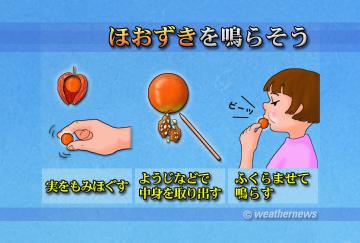 ほおずきを鳴らそう