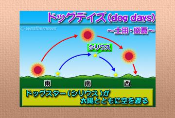 ドッグデイズ