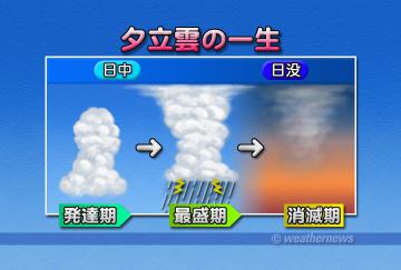 夕立の一生