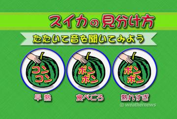 スイカの見分け方