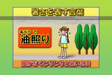 油照り