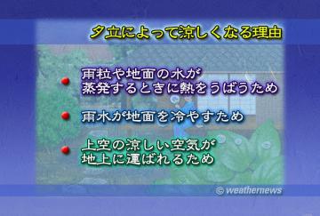 夕立によって涼しくなる理由