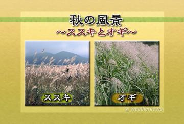 秋の風景