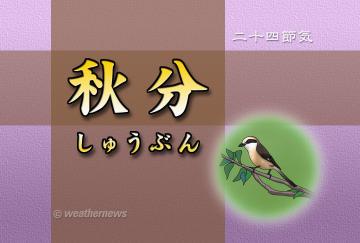 秋分
