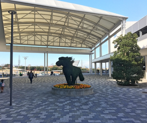 中京競馬場
