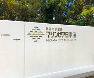 新潟市水族館 マリンピア日本海