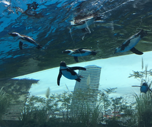 サンシャイン水族館