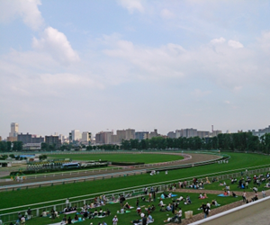 札幌競馬場