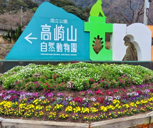 高崎山自然動物園
