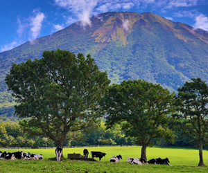 大山まきばみるくの里
