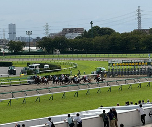 中山競馬場