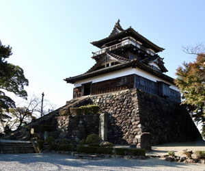 丸岡城