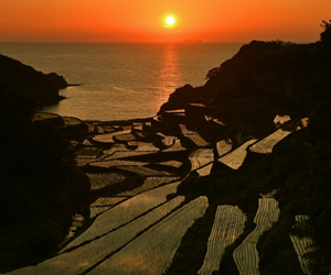 浜野浦の棚田