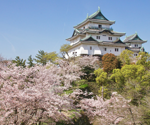 和歌山城