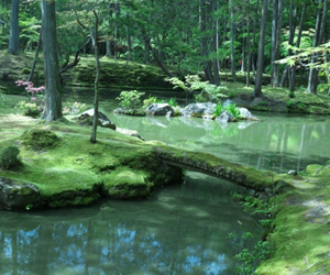 西芳寺(苔寺)