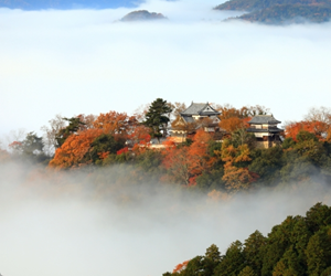 備中松山城