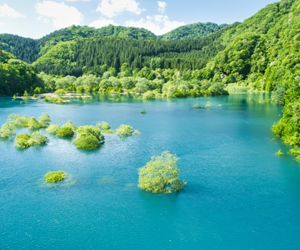秋扇湖