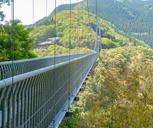 綾の照葉大吊橋